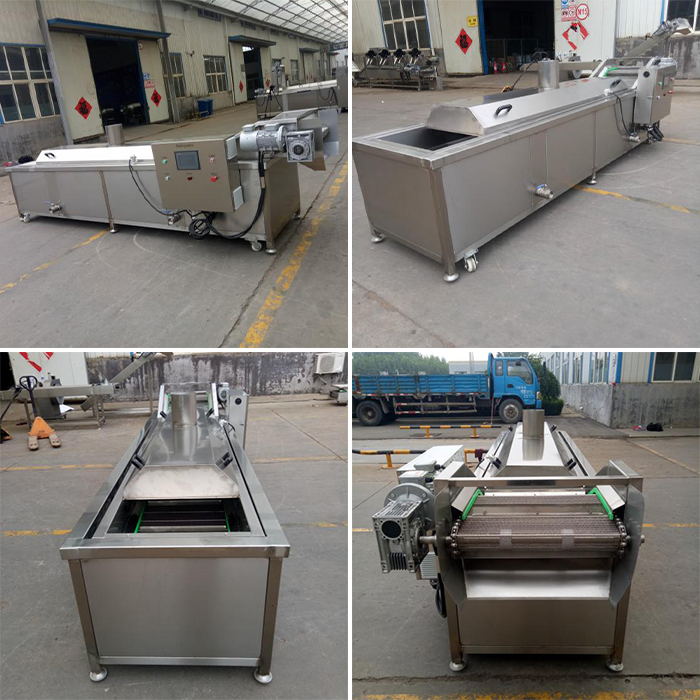 Continuous Vegetable Blanching Machine Fruit Blanching Sterilizer