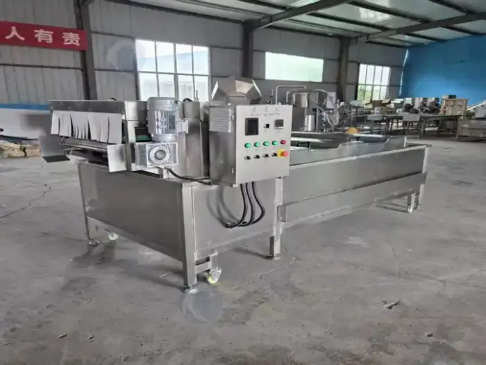 Continuous vegetable blanching machine