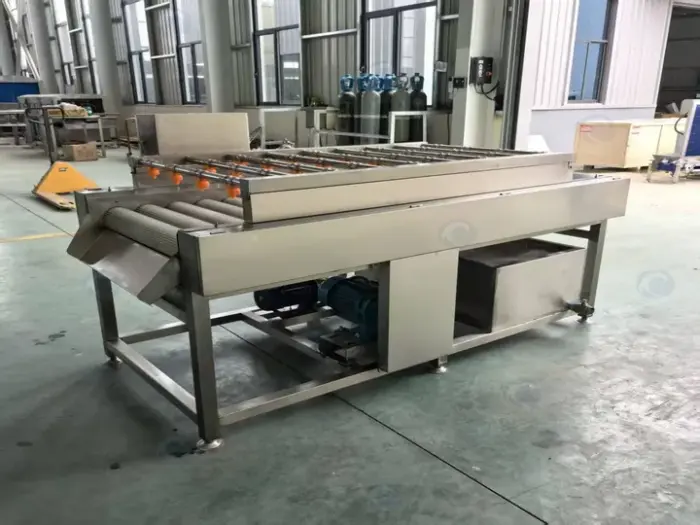 Parallel Brush Roller Cleaning Machine