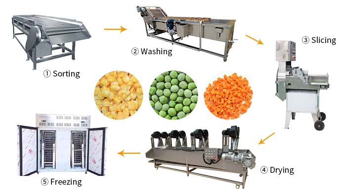 Frozen vegetable manufacturing process