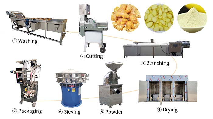 Vegetable powder processing line process