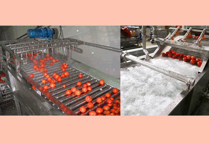 Tomato cleaning machine application
