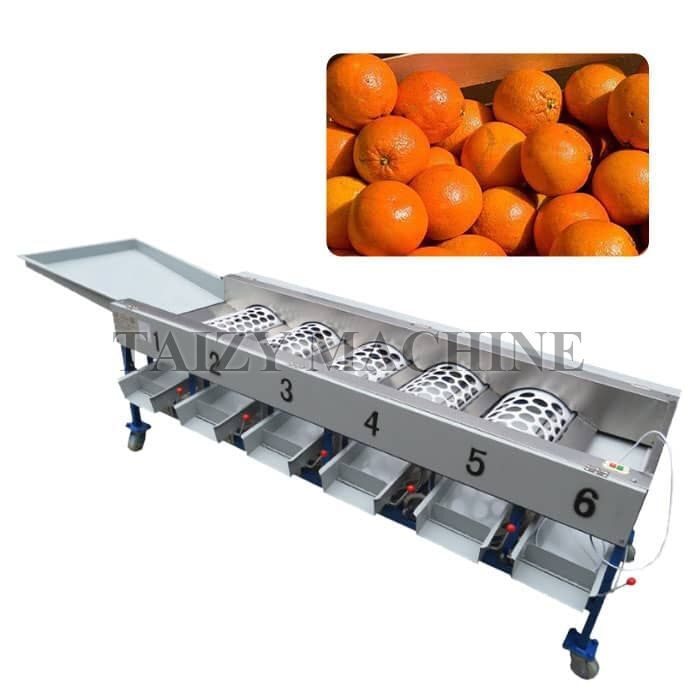 clasificadora de clasificación de naranjas