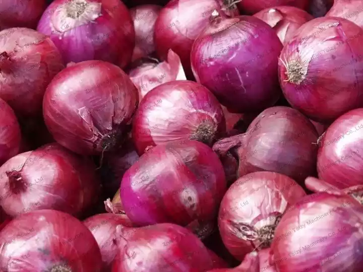 onions for grading