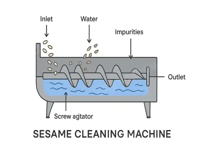 Schematic Diagram of Working Principle