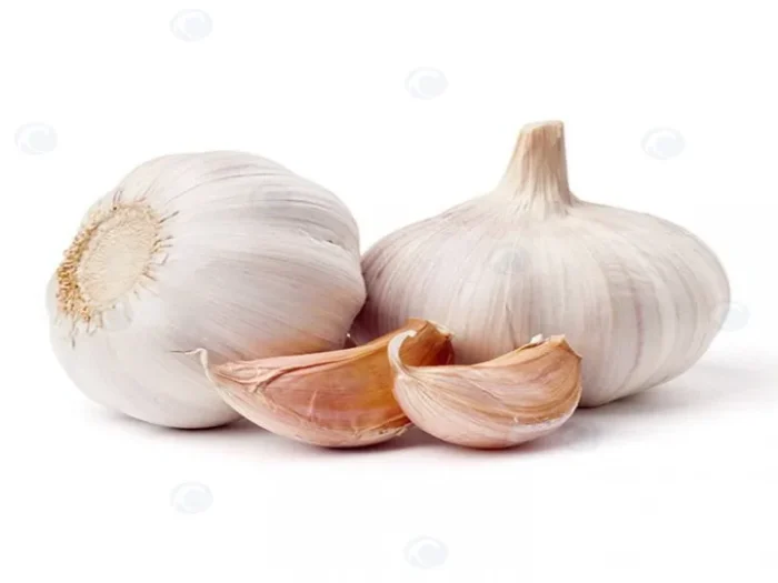 Garlic Clove