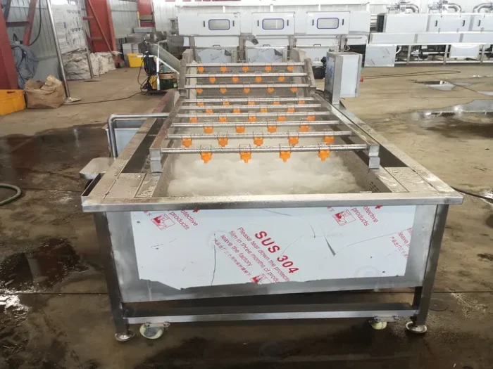 Garlic Washing Machine