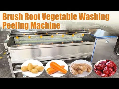 高品質のブラシ根菜洗浄 peeling 機