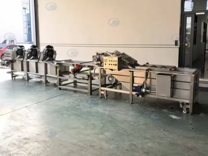 과일 및 채소 세척 라인