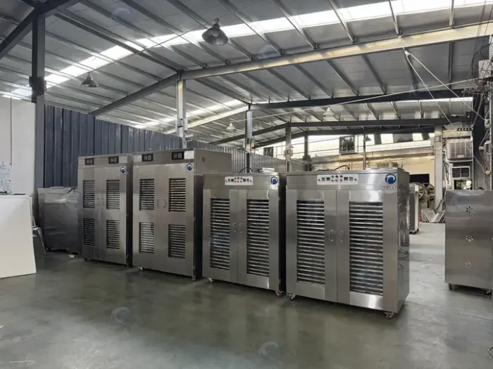 不锈钢蒜片烘干机